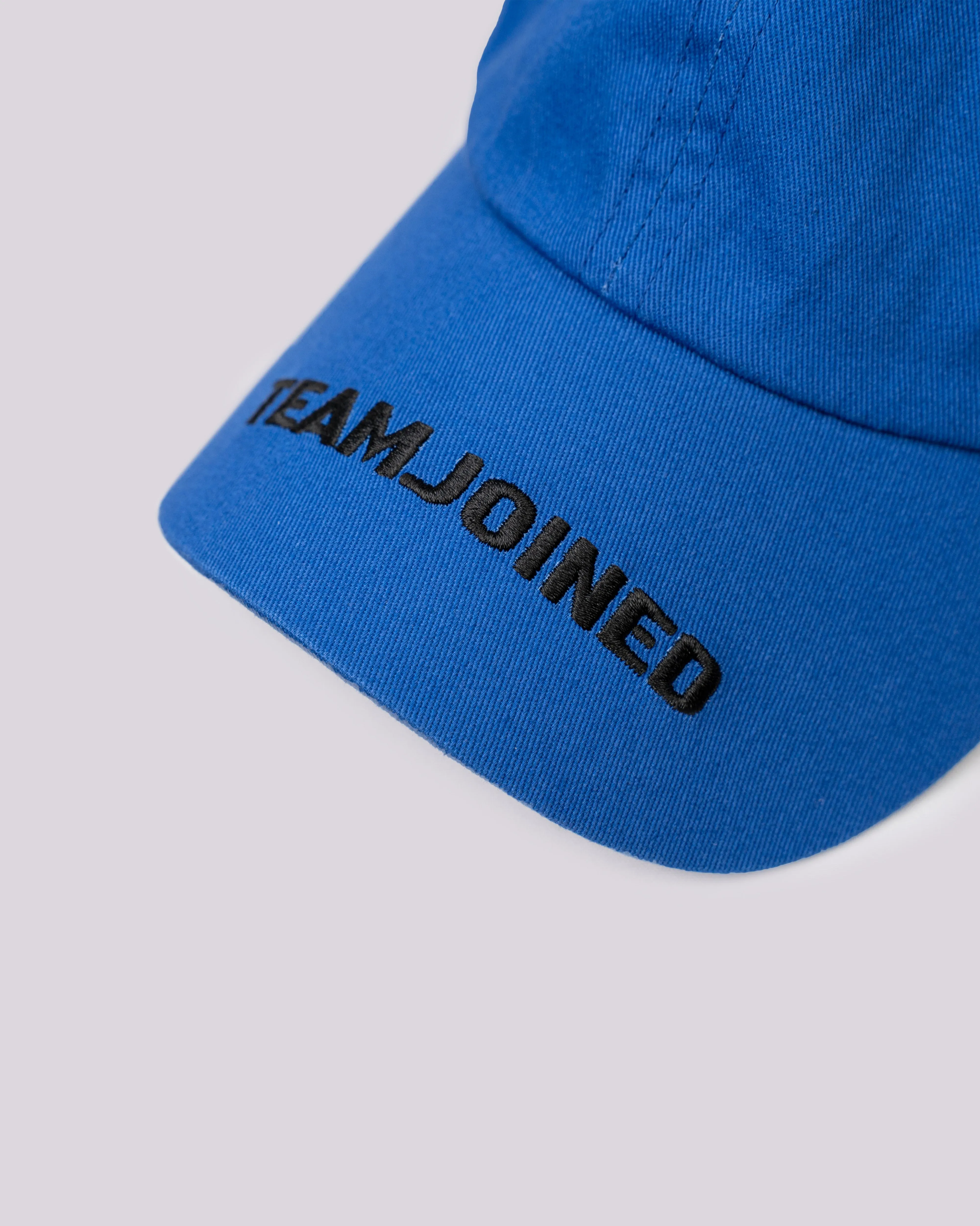 Embroidered Og Dad Hat