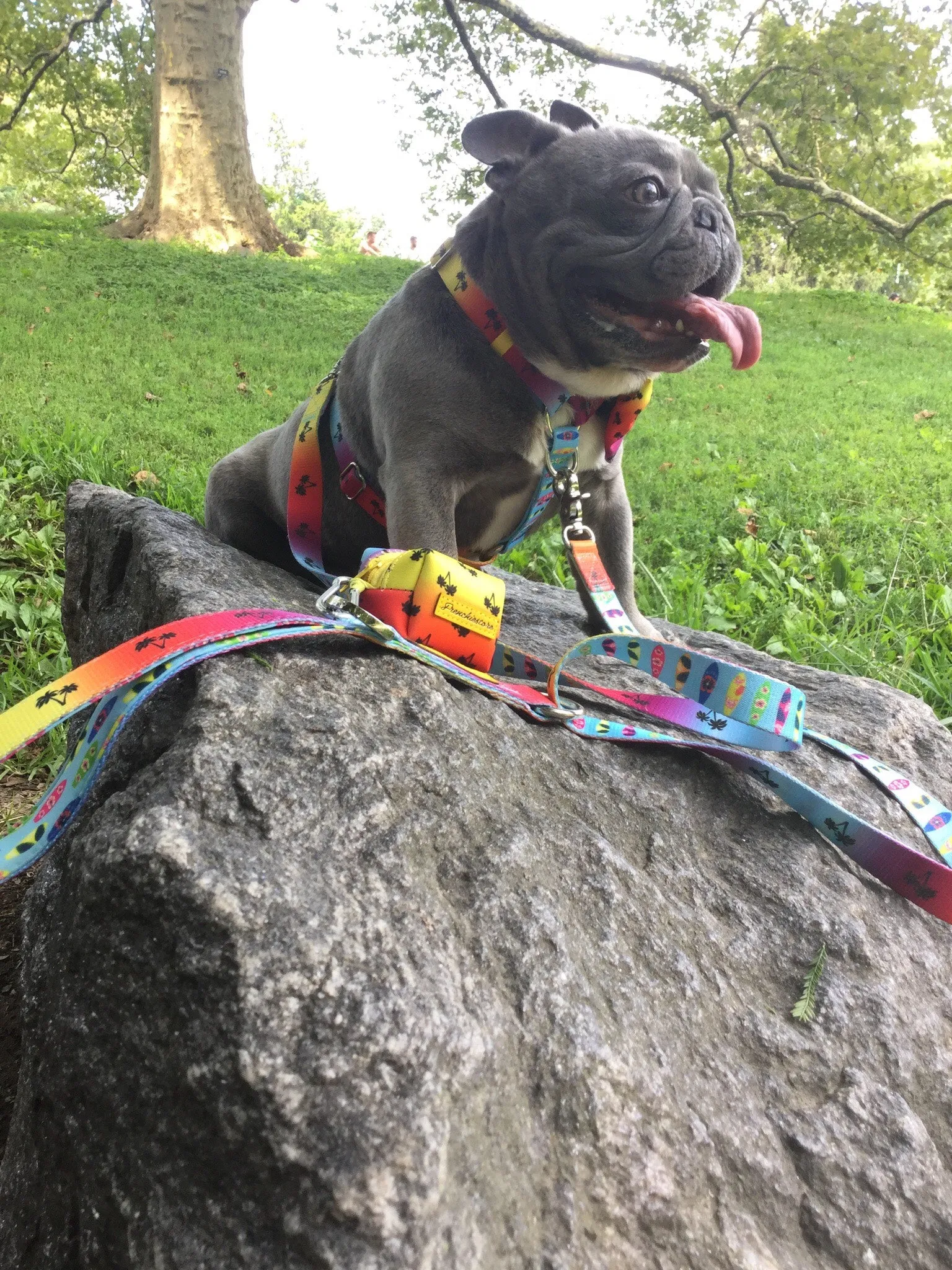 Frenchiestore Poop Bag Dispenser | California Dreamin'