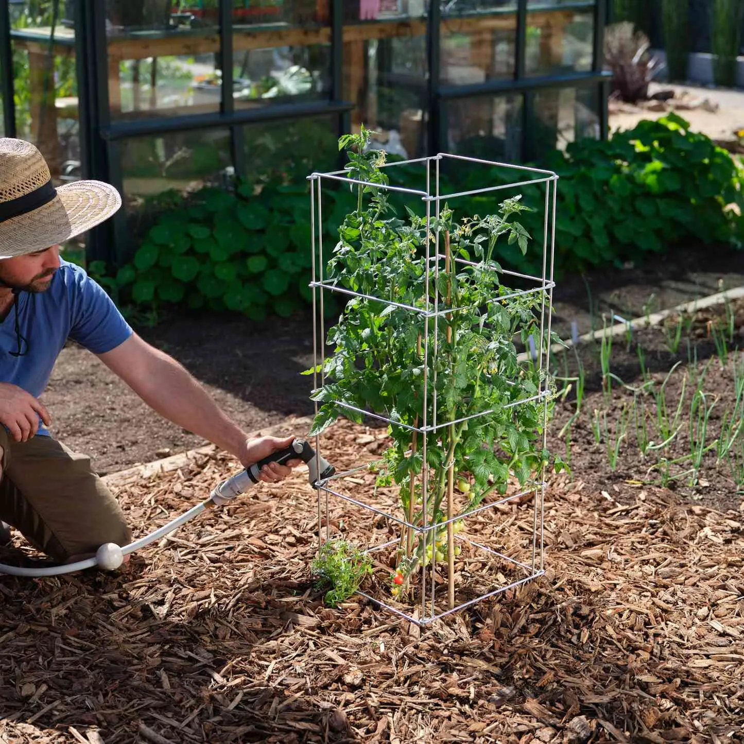 Heavy-Duty Tomato Cage