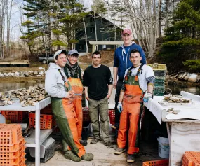 Norumbega Oysters from Damariscotta, ME